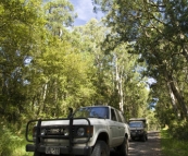 Bessie and The Tank cruising the Otway Ranges on the way to Lake Elizabeth