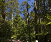 Chris, Gina and Lisa hiking to Phantom Falls