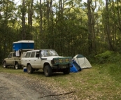 Camping at Big Hill in the Otway Ranges