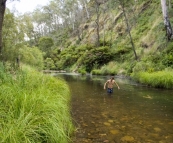 Chris cooling off in the Howqua River at Noonans Flat