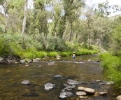 Lisa cooling off in the Howqua River at Noonans Flat