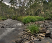 The Howqua River at Noonans Flat