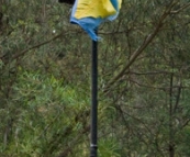 A male Crimson Rosella at our campsite at Noonans Flat