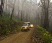 Bessie and The Tank making their way up Brocks Road through high country fog