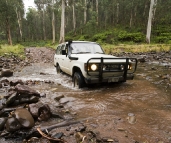 Bessie crossing the Jamieson River