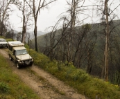 The Tank and Bessie working their way down the King Billy Track