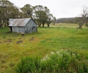 Howitt Plains Hut