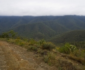 The Wombat Spur Track and the Victorian Alps