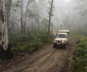 The Tank in the fog along the Wombat Spur Track