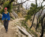 Lisa on her way to Sealers Cove through some charred Eucalypt forest