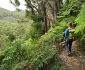 On the way back to Telegraph Saddle from Sealers Cove