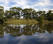 The might Snowy River as it makes its way out to sea