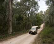 The Tank cruising Yalmy Road to Raymond Creek Falls