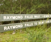 The short walk to Raymond Falls from our campsite