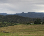 High country pastoral land near Snowy River National Park