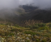 Looking toward Falls Creek from the trail to Mount Loch