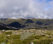 Panoramic of the Razorback Trail with Mount Feathertop in the clouds to the right