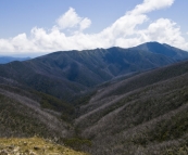 Mount Feathertop and the Razorback Trail