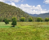 High country pastures near Harrietville