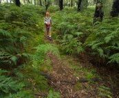 Lisa hiking to Rollasons Falls