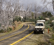 On the Mount Buffalo plateau by the Old Galleries Walk