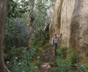 The Old Galleries Walk