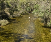 Fishermen in Swampy Plains River at Geehi Flats