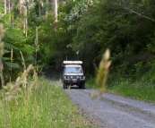 The Tank cruising the Otway Ranges