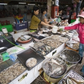 One of the shrimp stalls in Ben Tanh Market