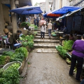 The Sapa markets