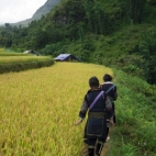 Walking through the rice paddies near Cat Cat Village