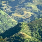 Rice paddies across the valley from Sapa