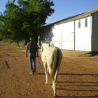 Greg walking his horse to the barn to saddle up