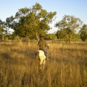 Greg riding on Birdwood Downs Station