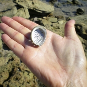 Check out the size of that abalone Jezzy and Paul!