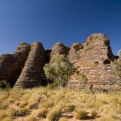 Domed rock formations on the drive into Cathedral Gorge and Piccaninny Creek