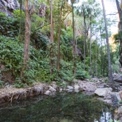 Lisa admiring El Questro Gorge