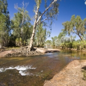 Miner\'s Pool swimming hole on Drysdale Station