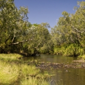 The Carson River crossing