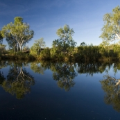 Afternoon sun on the King Edward River