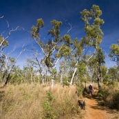 Lisa hiking to Mitchell Falls