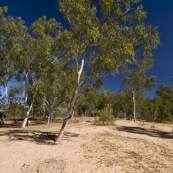 Our campsite next to the Gibb River