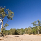 A dry Gibb River in front of our campsite