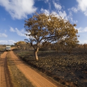 Driving between Quondong Point and James Price Point