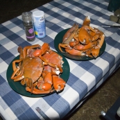 Our dinner of mud crabs after a successful afternoon of spearing