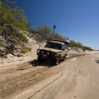 The boggy sand track back from the beach at Chile Creek