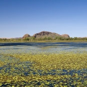 Lake Kununurra