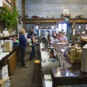 Hoochery Distillery north of Kununurra