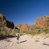 Hiking along the dry creek bed into Mini Palms Gorge