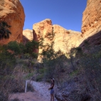 Lisa hiking in to Mini Palms Gorge